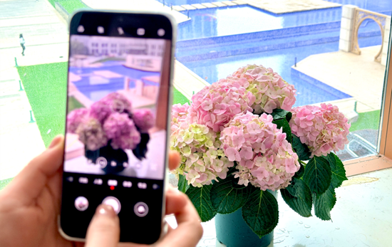 1773025322686786.png 10.png